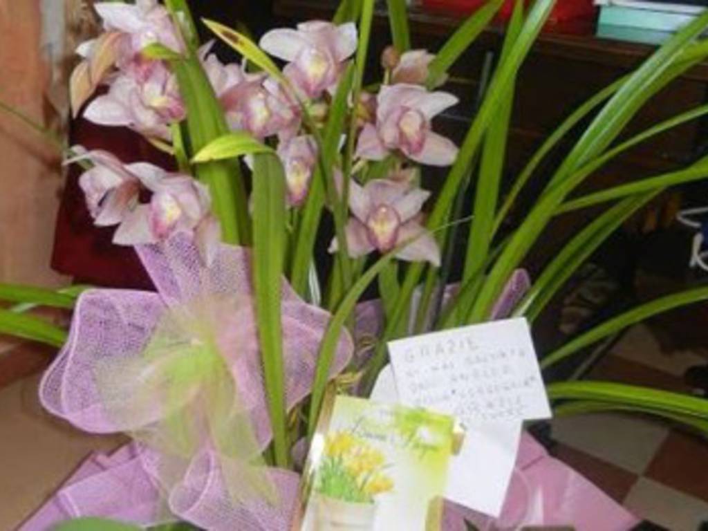 Avezzano: cittadini ringraziano sindaco con un'orchidea