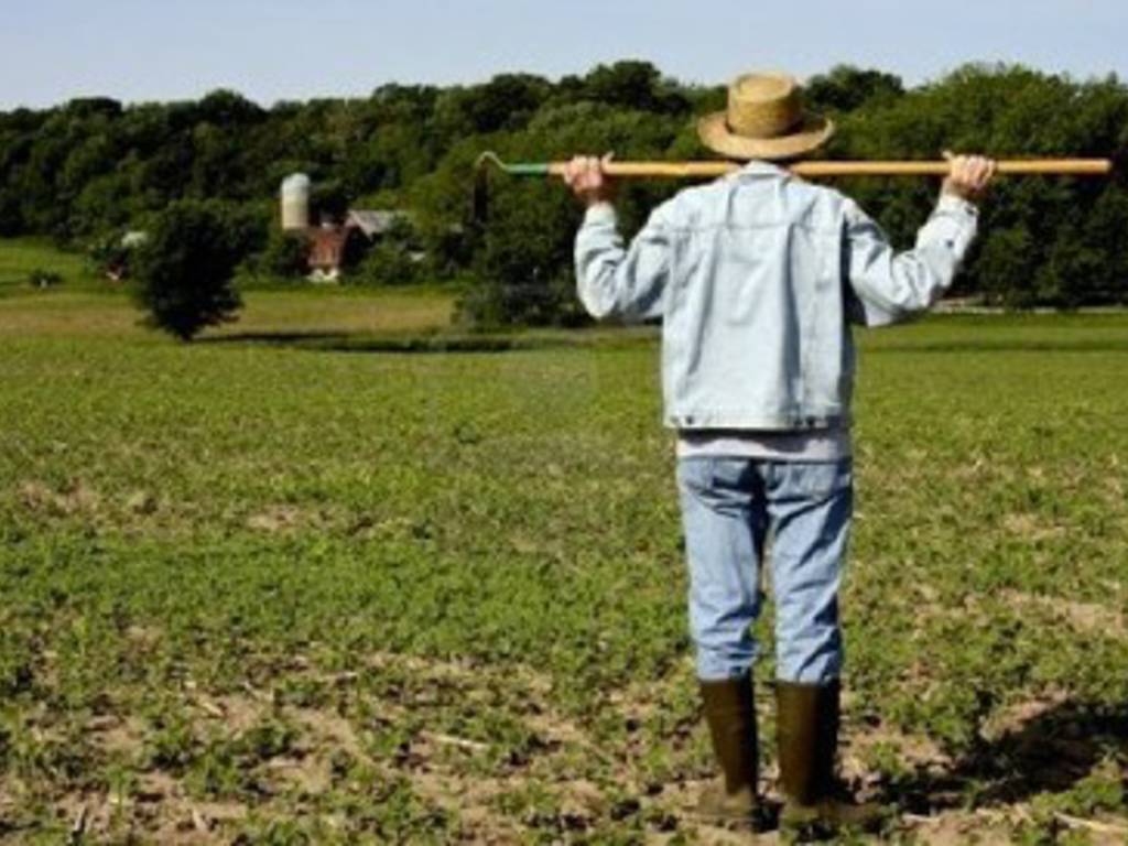 Rimborsi agricoltura: Pepe chiarisce, Febbo: «Risposta inconcludente»