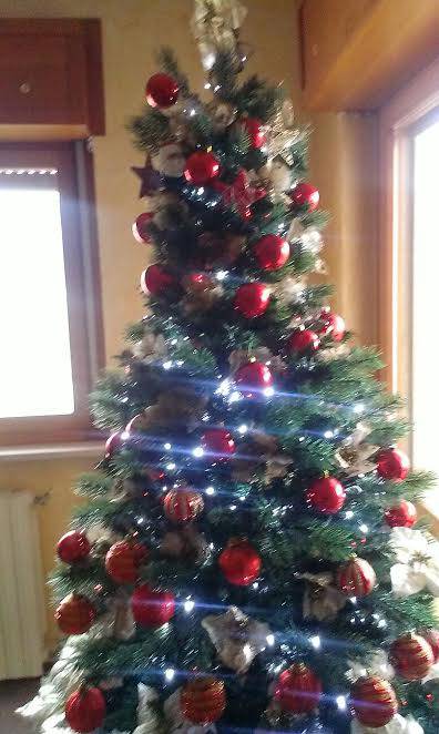 alberi 2016