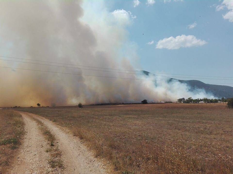 incendio collelongo