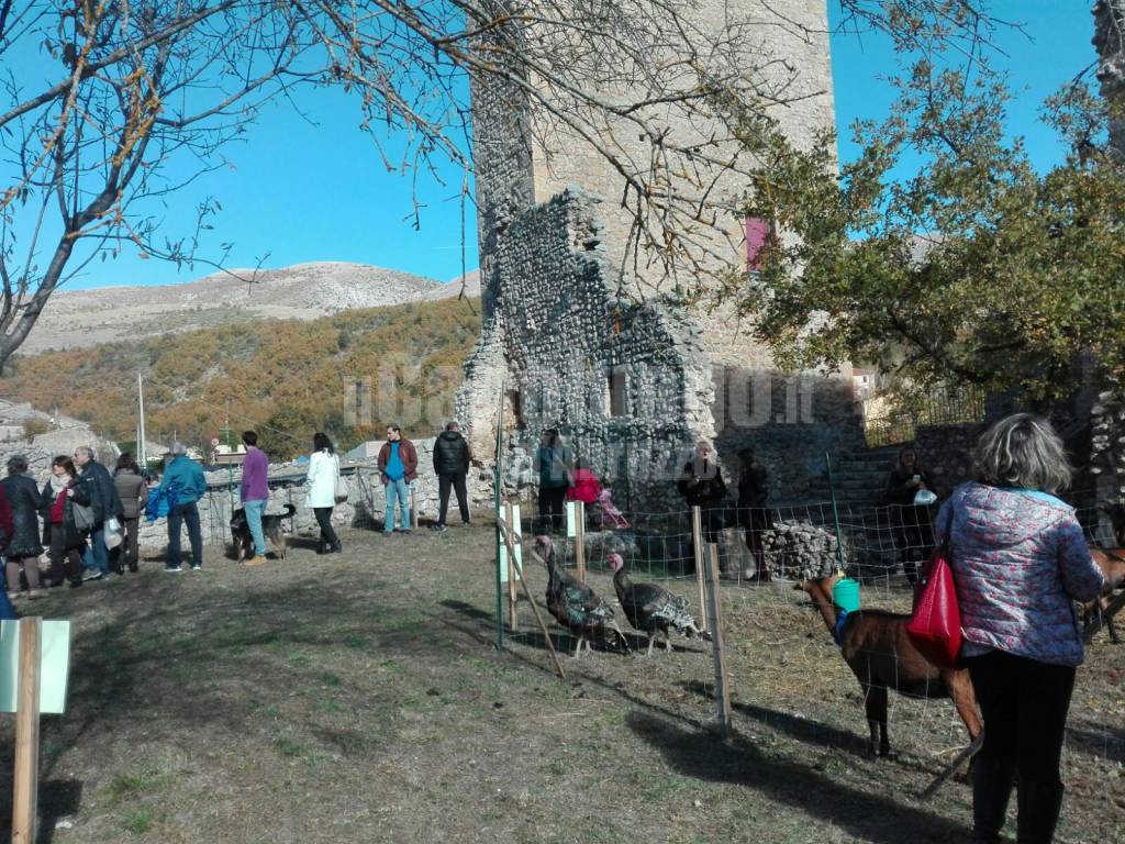 Beffi, fiera della capra: torre medievale