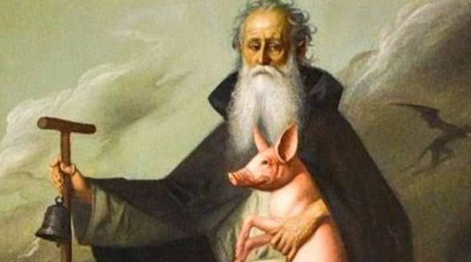 Sant'Antonio Abate, il protettore degli animali - Il Capoluogo