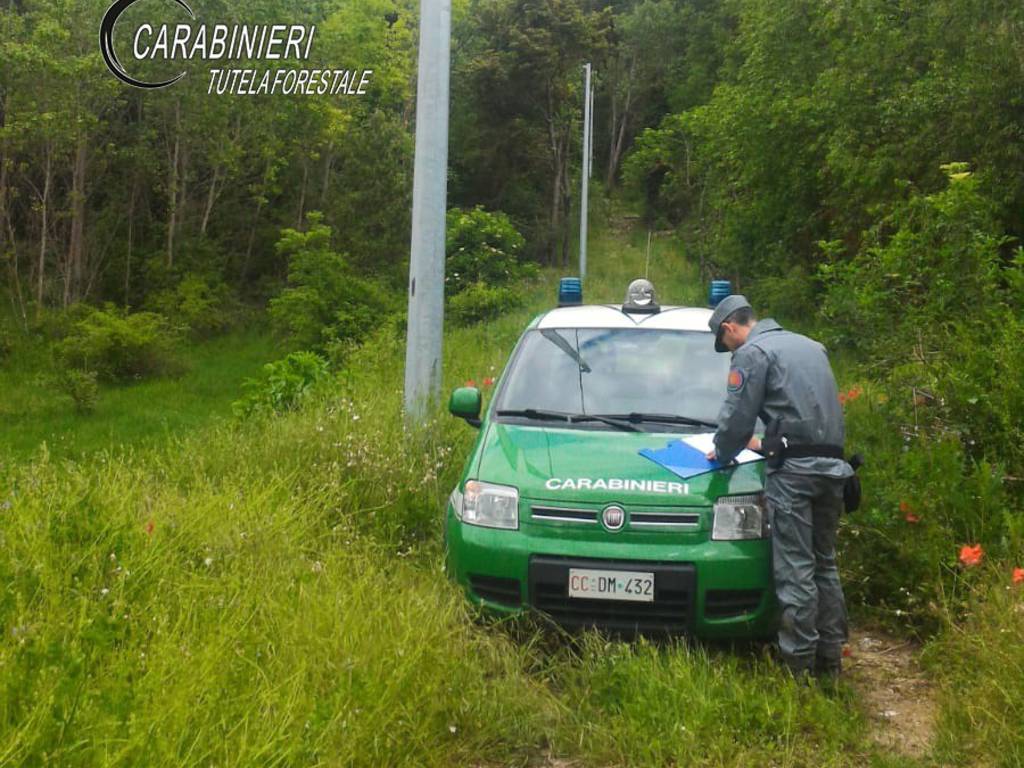 carabinieri forestali