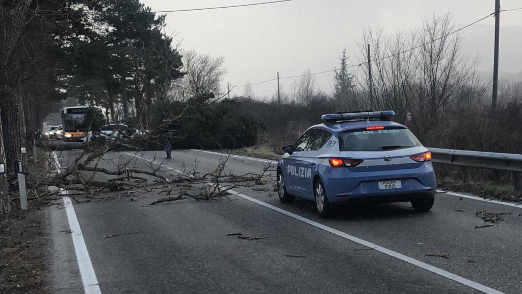 incidente auto cansatessa cadono alberi