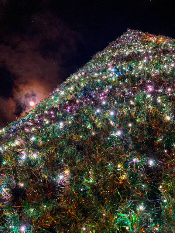 Natale 2019, Alberi e Presepi: la vostra magia