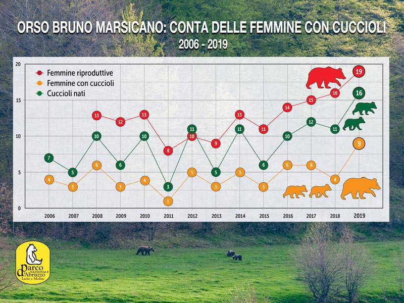 dati 2019 orso marsicano parco nazionale Abruzzo