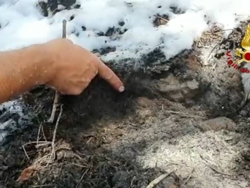 incendio l'aquila sottobosco vvff