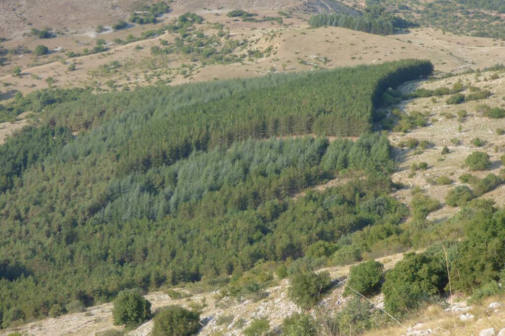 pinete riserva statale monte velino 