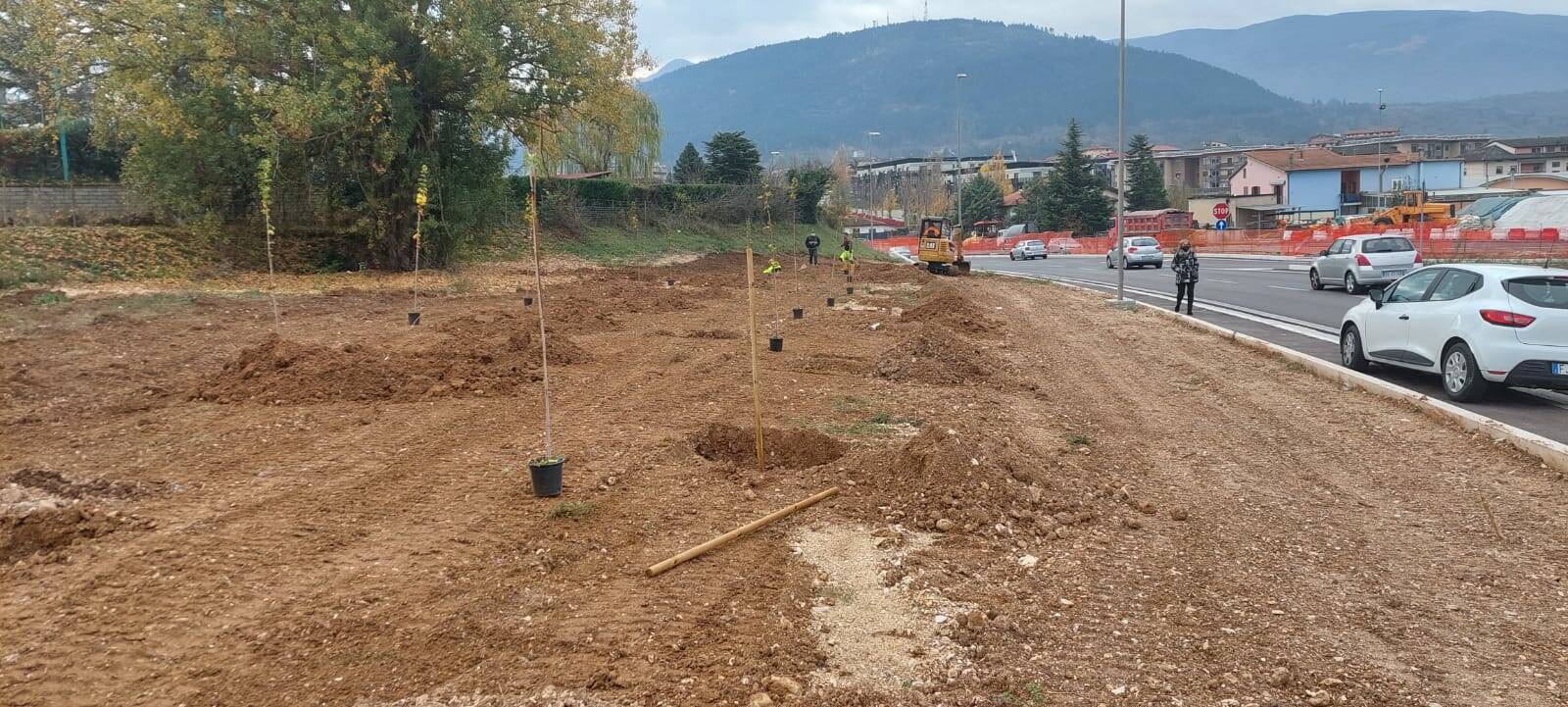 giornata nazionale degli alberi 