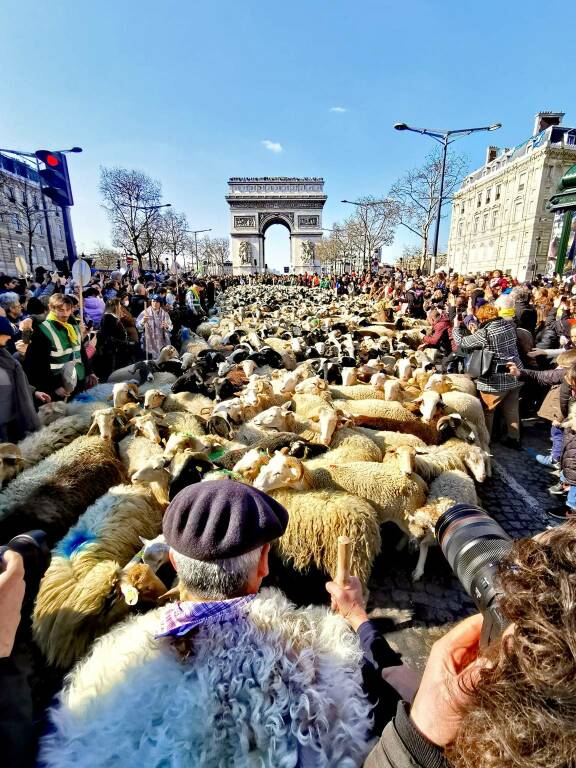 transumanza pastori collemaggio Champs-Élysées foto antonio corrado