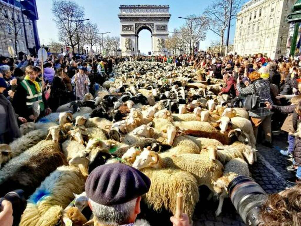 transumanza pastori collemaggio Champs-Élysées foto antonio corrado