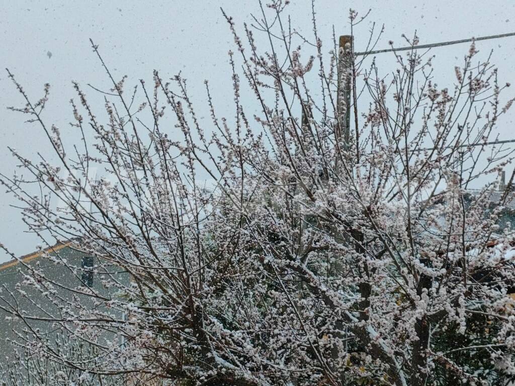 neve d'aprile