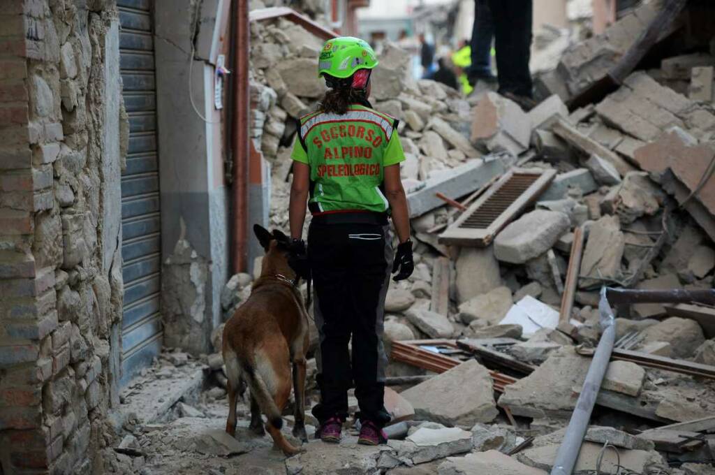 Uber cane soccorritore amatrice