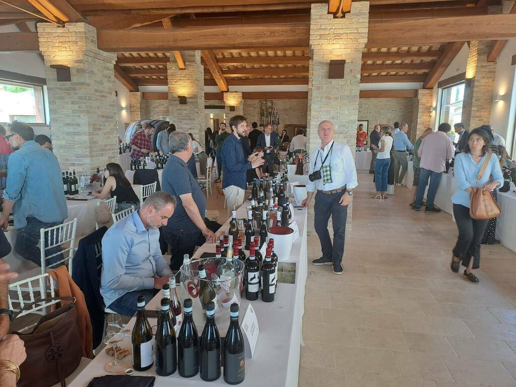 Abruzzo Wine Experience