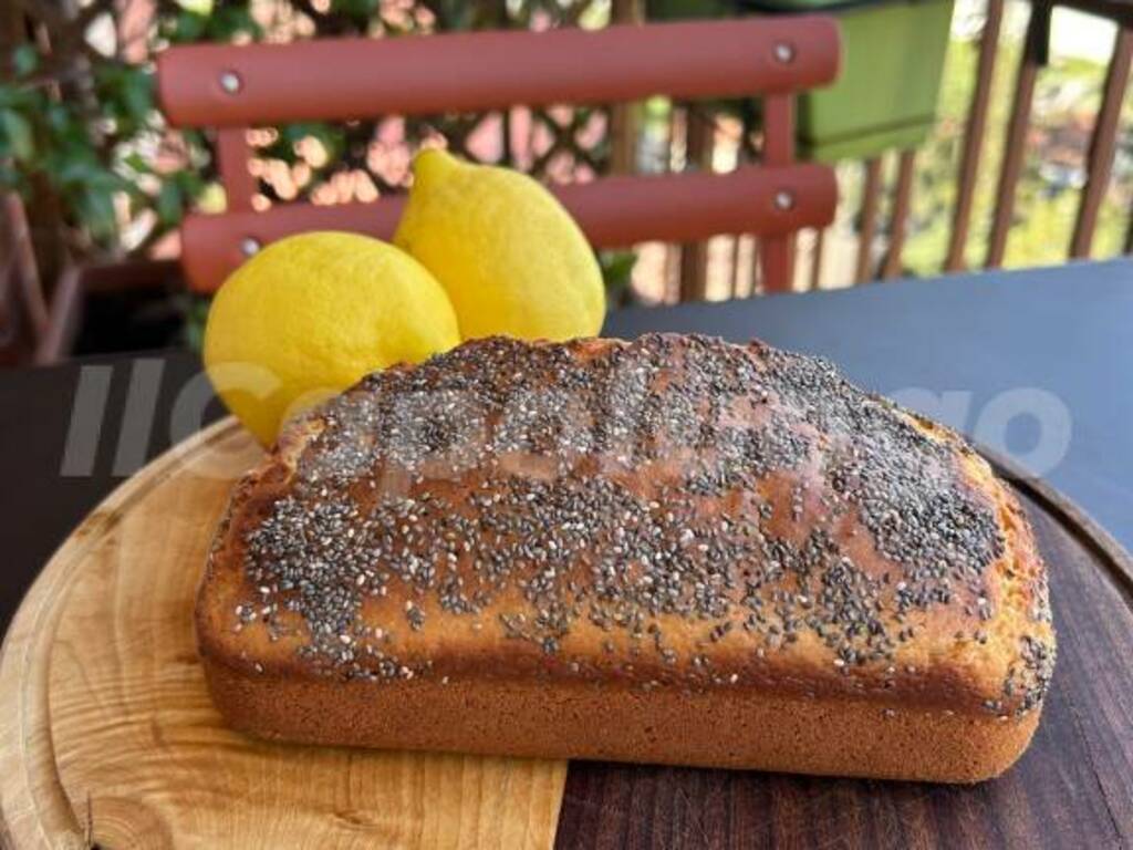 mini plumcake semi di papavero 